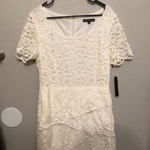 NWT Preston & York Dress Size 12